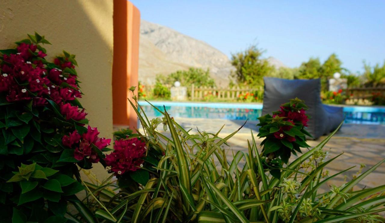 Villa Despina 1 Plakias Private Villa, Private Swimming Pool Garden,Amazing View Lefkogeia Екстер'єр фото